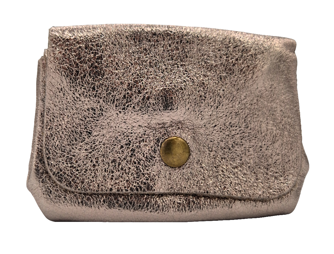 Etania Iridescent Leather Purse ~ Pewter