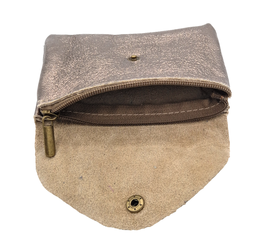 Aquene Iridescent Leather Coin Purse ~ Pewter 