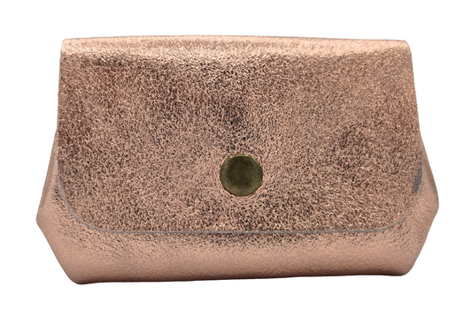 Etania Iridescent Leather Purse ~ Champagne 