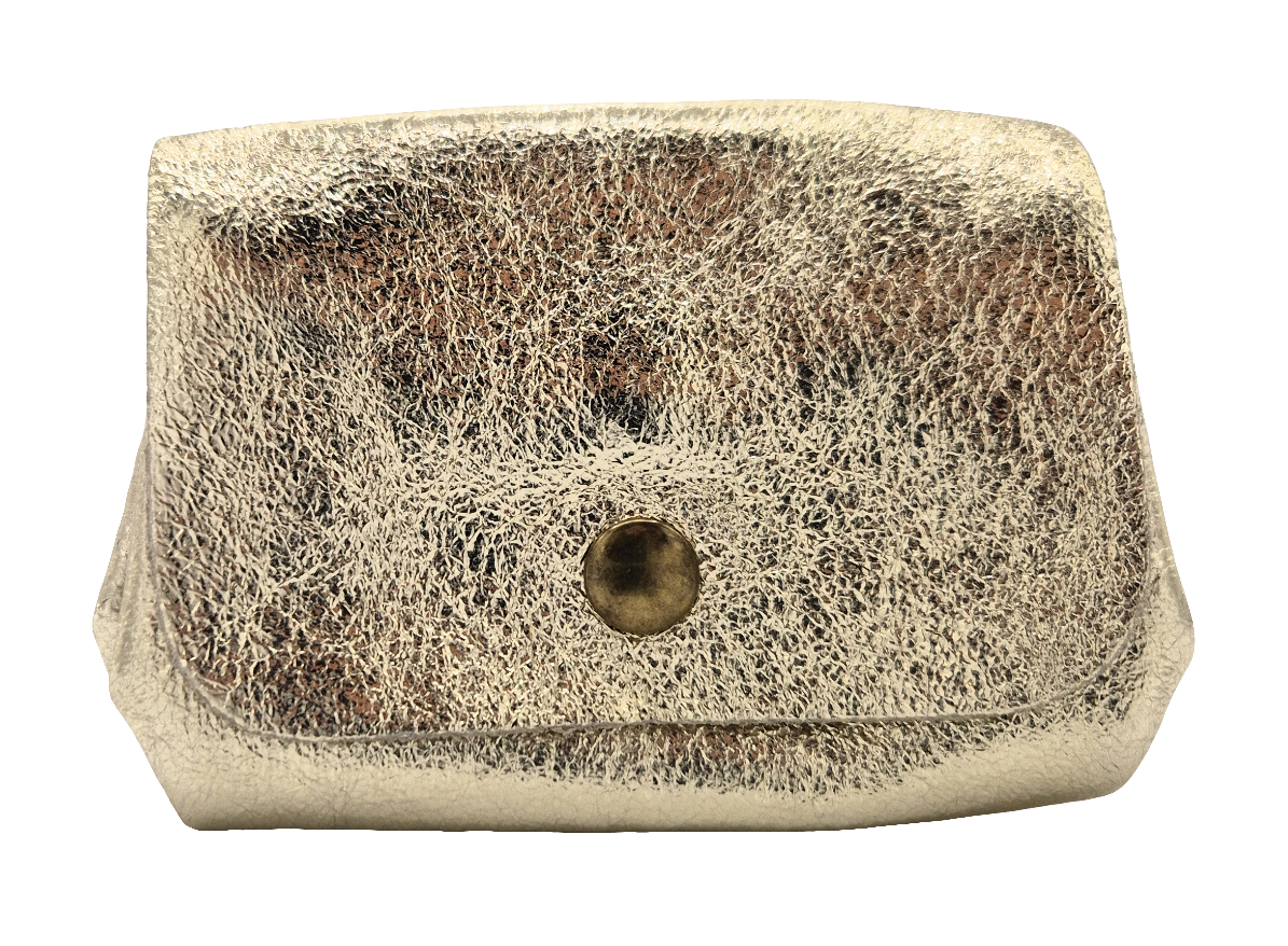 Etania Iridescent Leather Purse ~ Gold 
