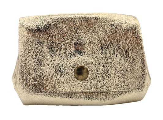Etania Iridescent Leather Purse ~ Gold 