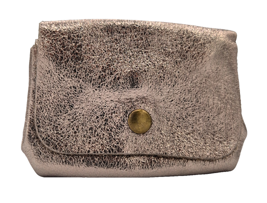 Etania Iridescent Leather Purse ~ Pewter 