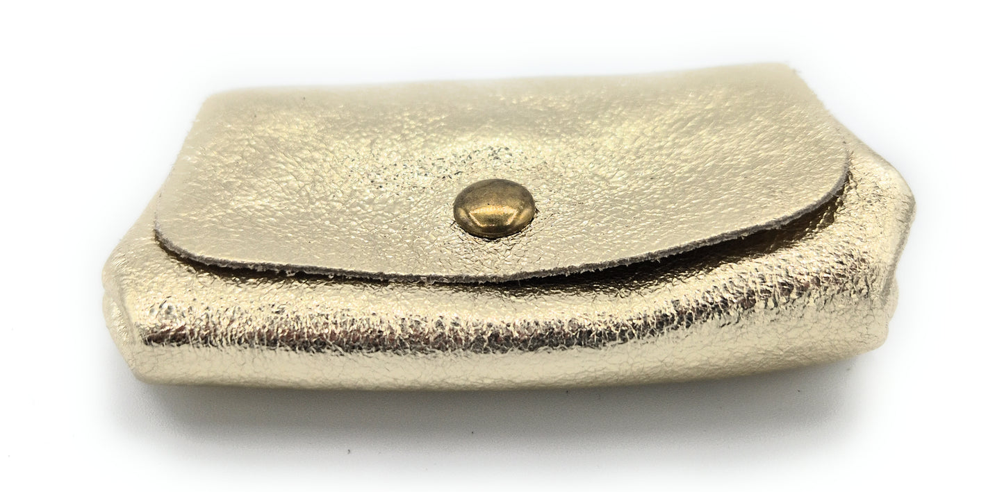 Etania Iridescent Leather Purse ~ Gold 