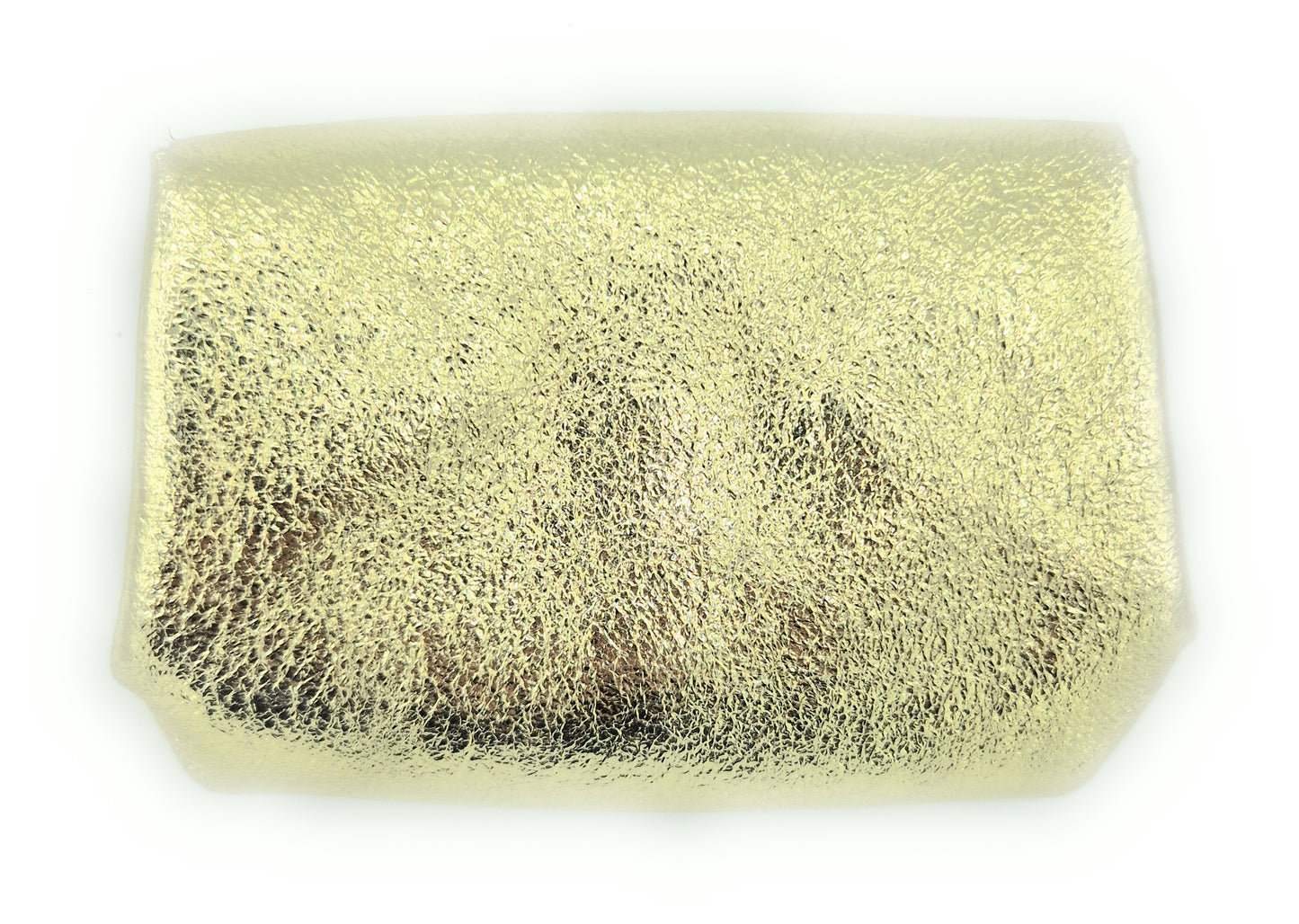 Etania Iridescent Leather Purse ~ Gold 