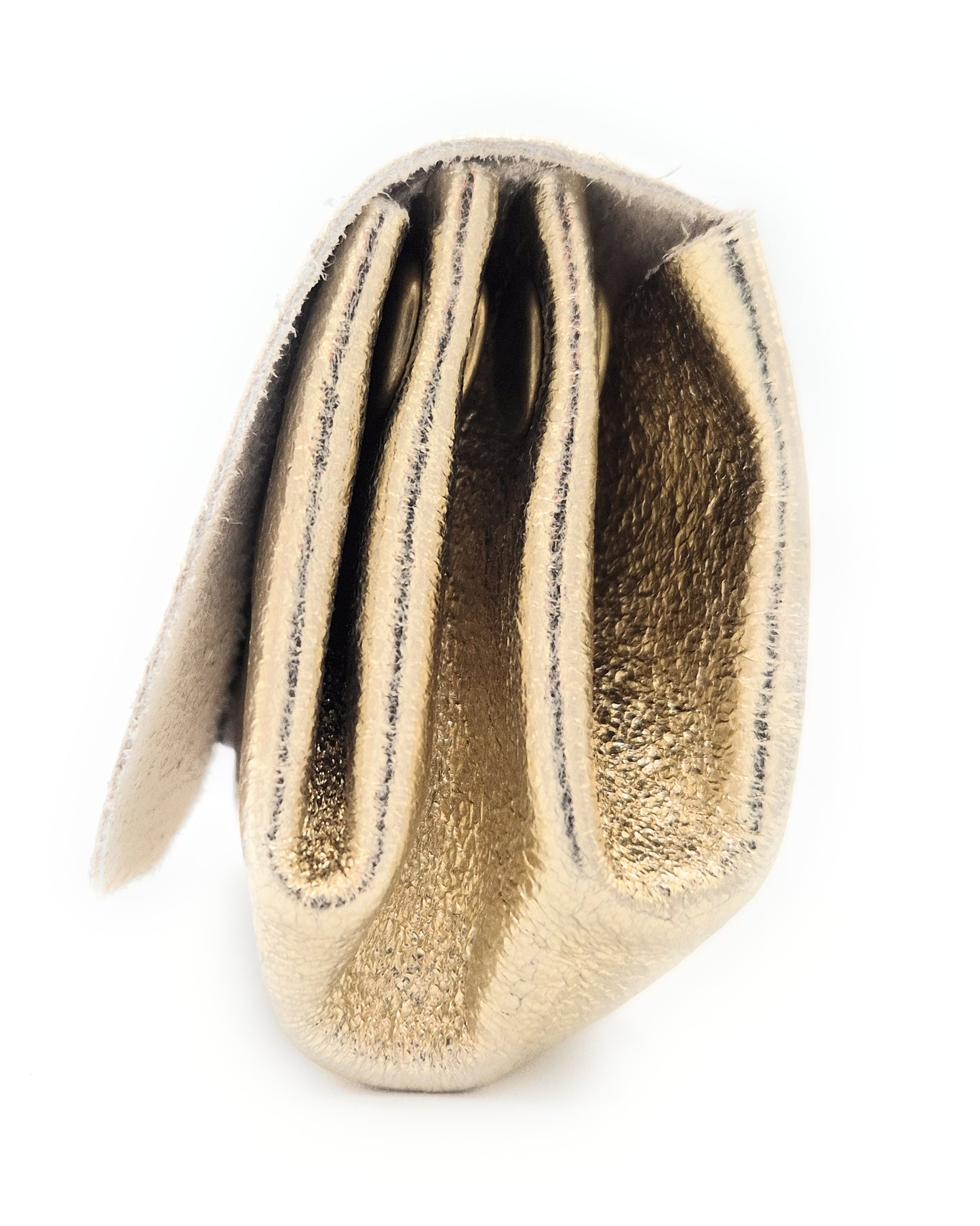 Etania Iridescent Leather Purse ~ Gold 